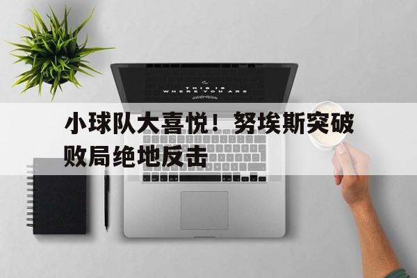 小球队大喜悦！努埃斯突破败局绝地反击的简单介绍